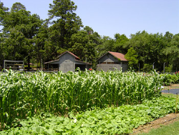 Heritage Farm - Sea Pines