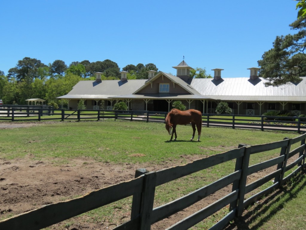 Sea Pines Stables